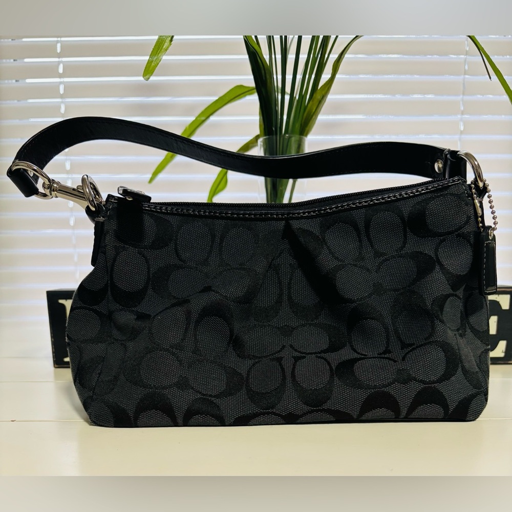 Coach wristlet/mini bag